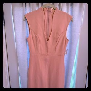 Brand new pink bodycon dress